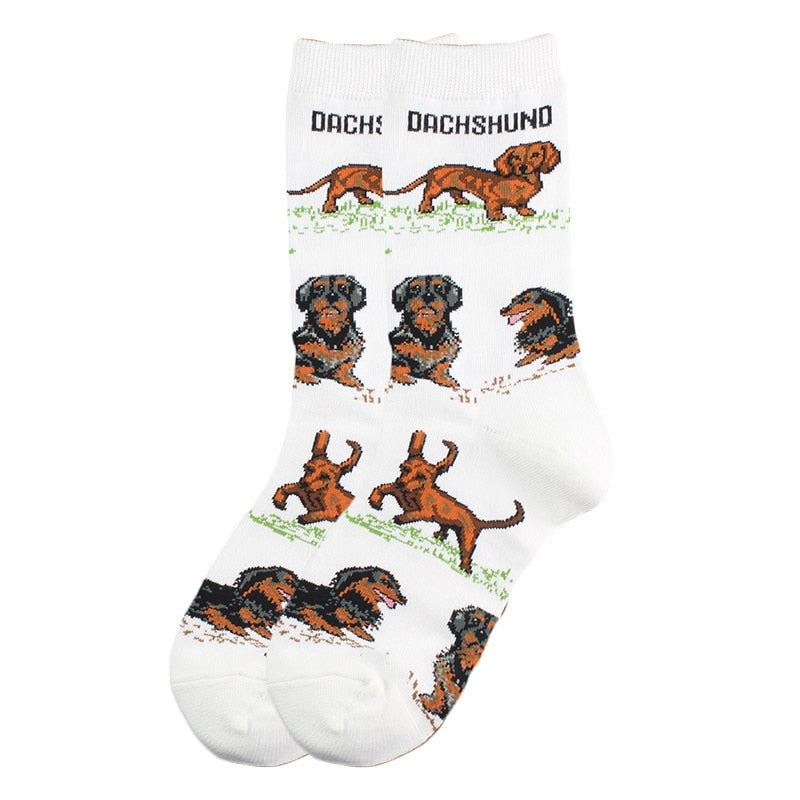 Doxie Socks