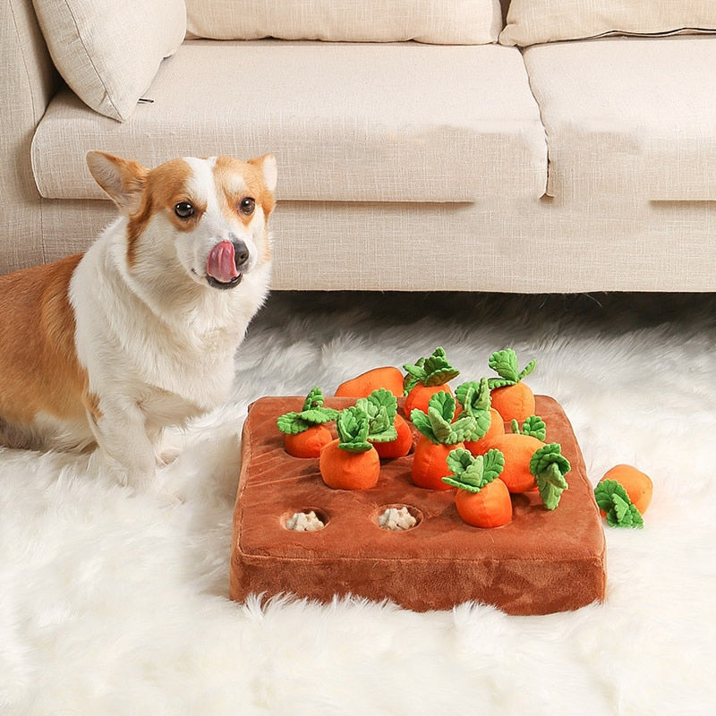 Interactive Toys!! Pull Out, Snuffle, Squeak!!