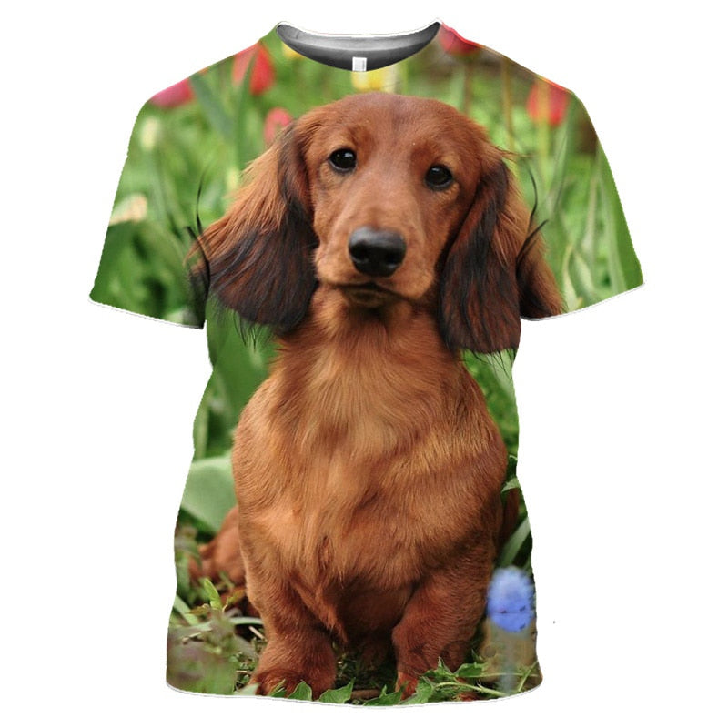 Beautiful Dachshund T Shirts