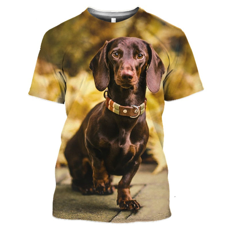 2023 Dachshund Print T-Shirt 3D, Perfect for Doxie Dads and Brothers, sizes S-4X