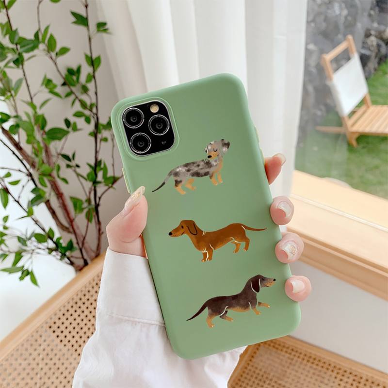 Dachshund Dog Phone Case for iPhone 11 12 13 Mini Pro Xs Max 8 7 6 6S Plus X XR Solid Candy Color Case