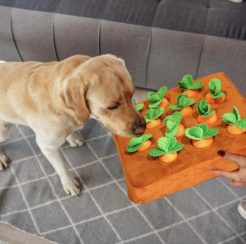 Interactive Toys!! Pull Out, Snuffle, Squeak!!