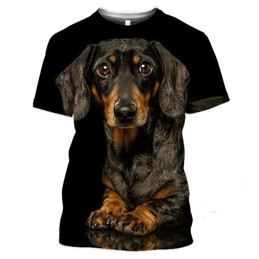 2023 Dachshund Print T-Shirt 3D, Perfect for Doxie Dads and Brothers, sizes S-4X