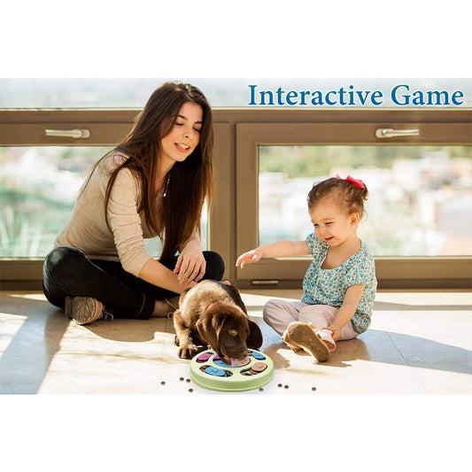 Interactive Toy and Feeder